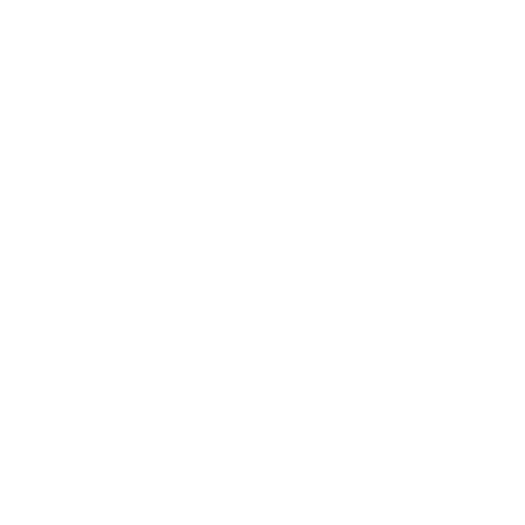Mergulho em Sesimbra e Passeio com Golfinhos em Sesimbra - Anthia Diving